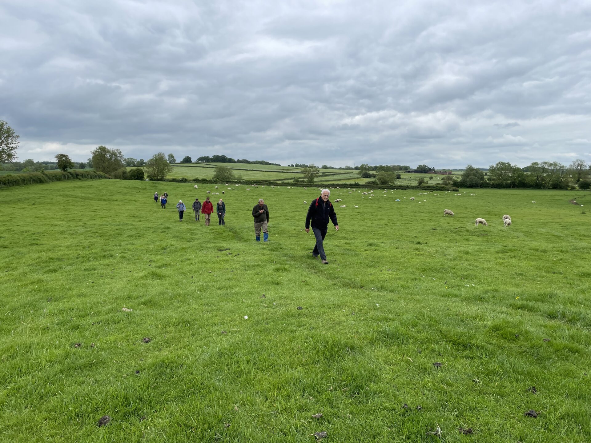 Walking 2 crossing a field