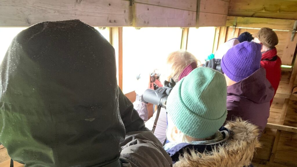 Birdwatching 2 in a hide