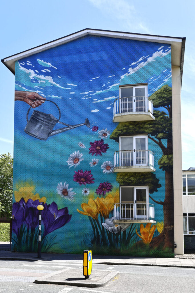 Wall Mural in Coventry